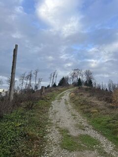 Zdjęcie z Rolf Tiemeyer wzdłuż trasy