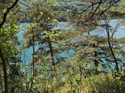 Photo de Reise5 Koenigin le long du parcours