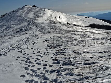 Foto de Jan Wojciechowski 1 a lo largo del recorrido