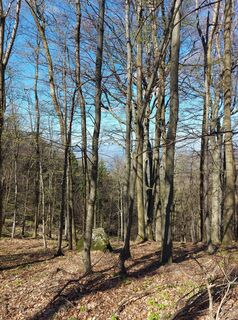 Photo de Zoltán Kovács 5 le long du parcours