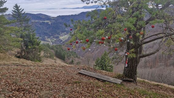 Foto von Štefan Jenko entlang der Tour