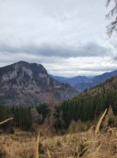 Fotografia z Juliane Jarke na trase