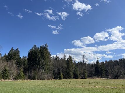 Foto von Anita Maigler entlang der Tour
