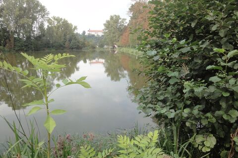 Biodiversitätsweg