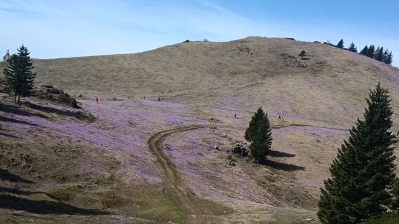 Foto von Davor Puklin entlang der Tour