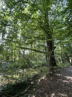 Photo de Andrea Vogt le long du parcours
