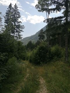 Foto von Turbinio entlang der Tour