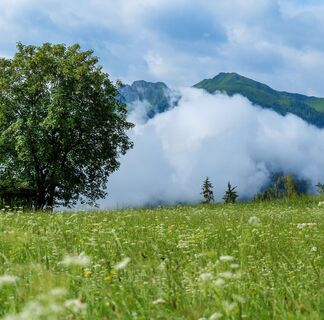 Naturgenuss mit Tauernblick