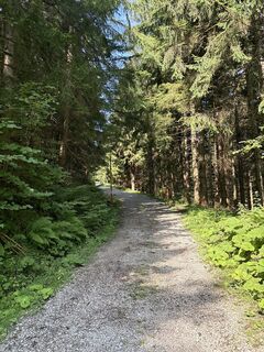 Photo de Heinz Sperl le long du parcours