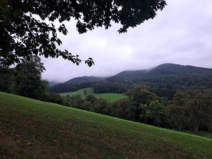 Fotografia z Walter Köllner na trase