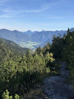 Fotografija s spletne strani Markus Disselhoff na poti