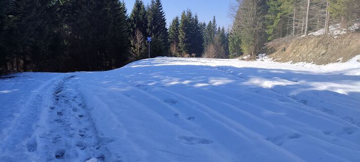 Dolný Kubín, Žilinský kraj/Slovensko