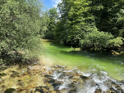 Fotografija s spletne strani Monika Loeb na poti