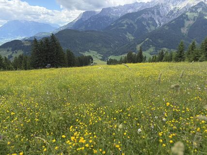 Foto von Maria Lattacher entlang der Tour