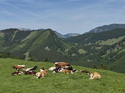 Fotografia z Reise5 Koenigin na trase