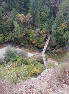 Photo de Pascal 36 le long du parcours