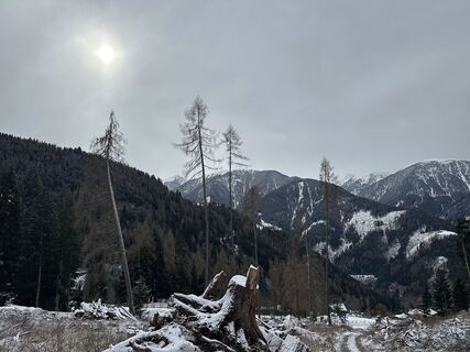 Foto från Eugen Benedikt Russ under resans gång