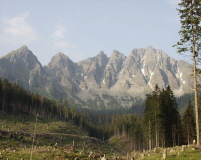 Zemljevid