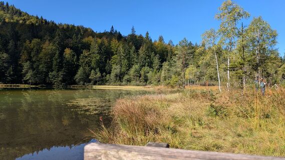 Foto von Pfefferam entlang der Tour