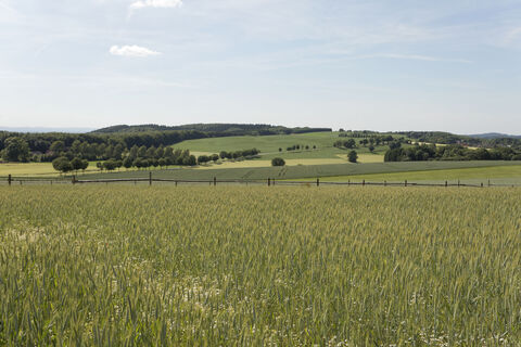 Landschaft am Kleeberg 2 CC BY-SA - LTM.jpg