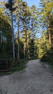 Foto von Pfefferam entlang der Tour