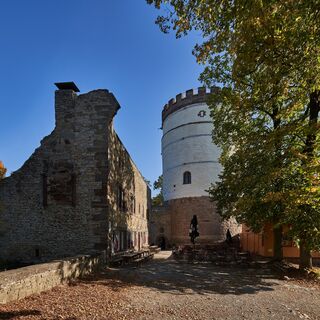 Burg Plesse