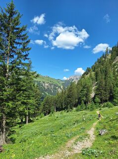 Photo de Jaap Rozeboom le long du parcours
