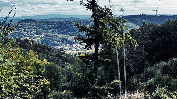 Foto von Klaus Tillmanns entlang der Tour