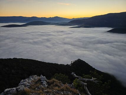Fotografija s spletne strani TwilightTea na poti