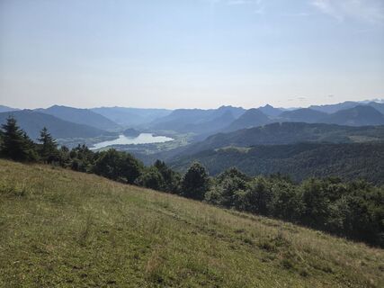 Foto von P Feichtenschlager entlang der Tour