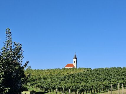 Fotografija s spletne strani Hertha 1 na poti