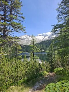 Fotografija s spletne strani Magnus Moser na poti