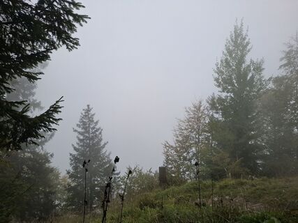 Foto von Maurer Silvia entlang der Tour
