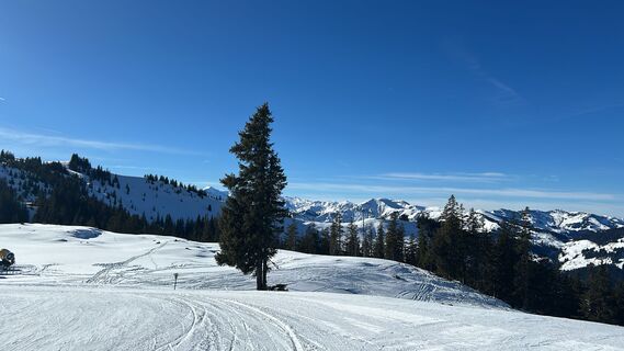 Foto von Markus Vogl 4 entlang der Tour