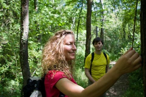 Unterwegs auf dem Saar-Hunsrück-Steig