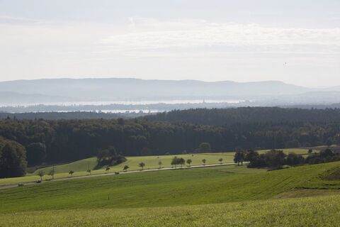 Blick vom Schneckenberg