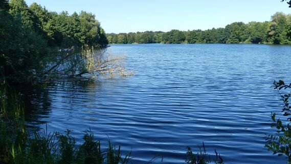 Waldsee - von Westen