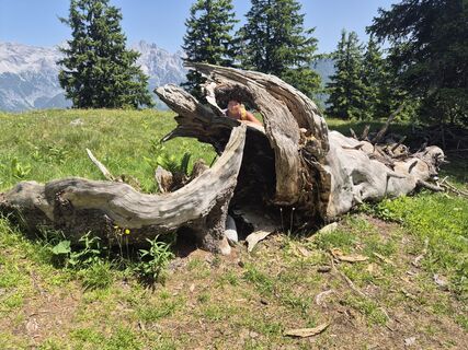Foto von Jürgen Thiem entlang der Tour