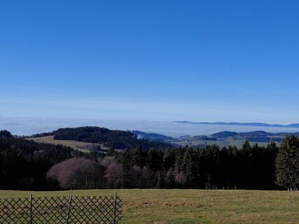 Fotografia z Sandra W. na trase