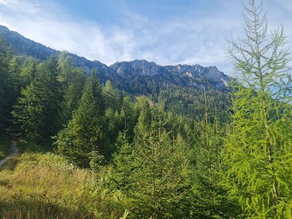 Photo de Vorlauferjohann681 le long du parcours