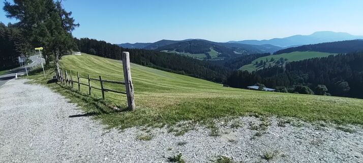 Foto von wolfkl entlang der Tour