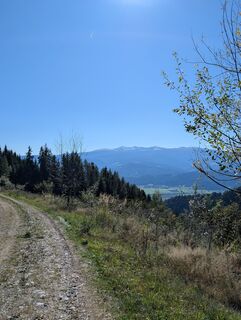 Photo de Anna Bärnthaler le long du parcours