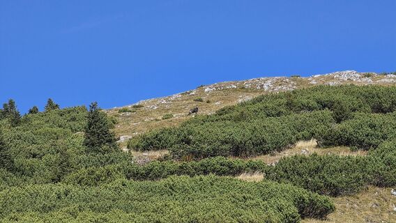 Fotografija s spletne strani EP87 na poti