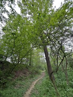 Fotografia z Christine Faustka na trase