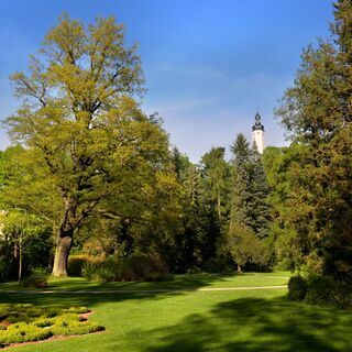 Blick vom Greizer Park zum Oberen Schloss