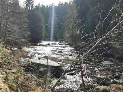 Fotografia z Michael Leisser na trase