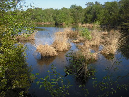 Zemljevid