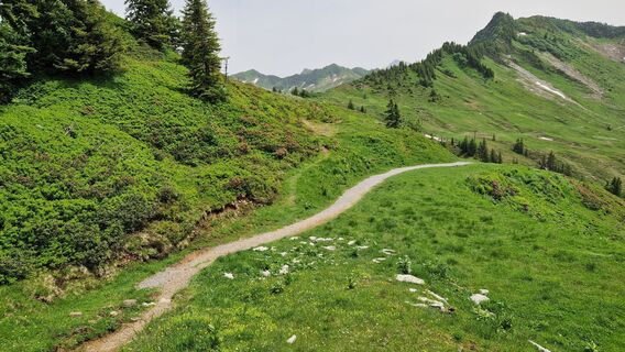 Foto de Gerrit van der Linde a lo largo del recorrido