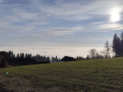 Fotografia z Edith K. na trase