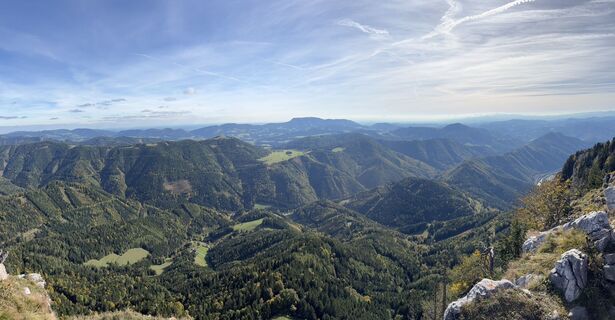 Photo de Elvis le long du parcours
